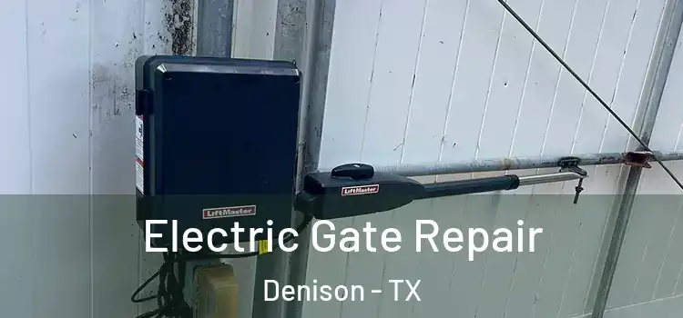 Electric Gate Repair Denison - TX