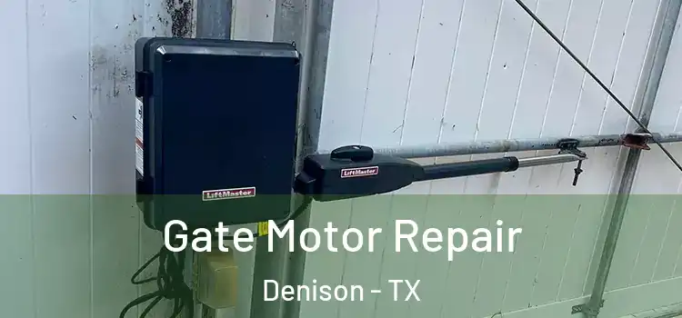 Gate Motor Repair Denison - TX