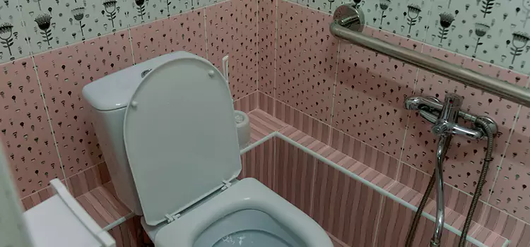 Meeting Diverse Needs With Accessible Restroom Solutions in Denison, TX