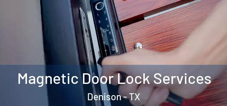 Magnetic Door Lock Services Denison - TX